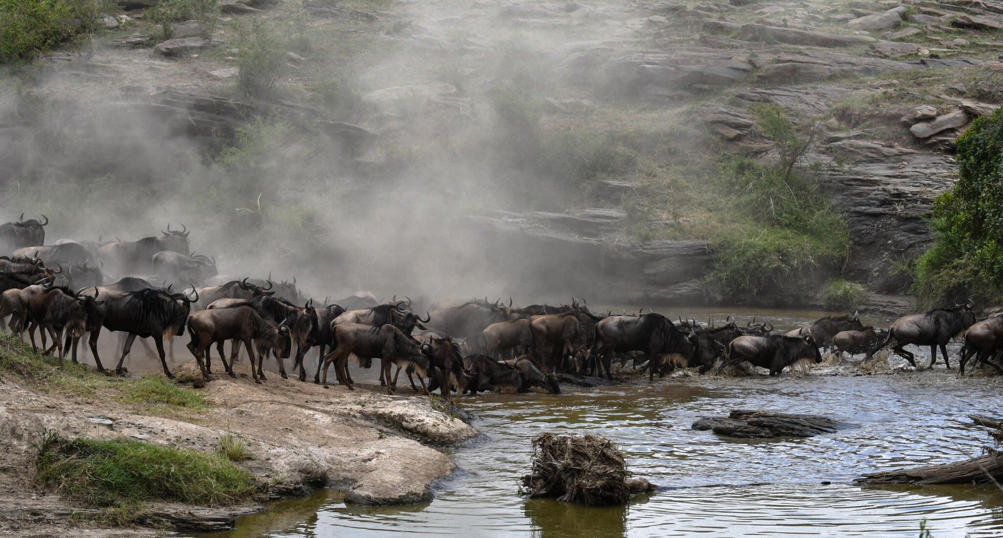 3 days Tanzania safari to Serengeti and Ngorongoro